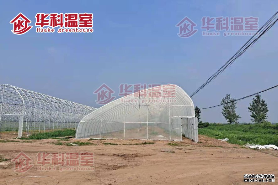 寶豐縣前營(yíng)鄉(xiāng)現(xiàn)代農(nóng)業(yè)示范基地